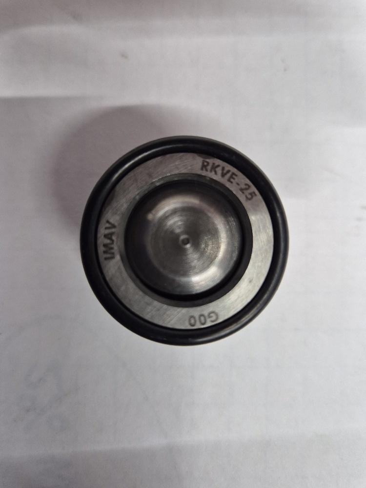 RKVE-25 cartridge terugslagklep IMAV