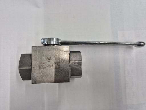 [500718] BKH 1" DN25 SS Ball valve MHA