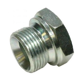 [501396] 1" zeskant Plug